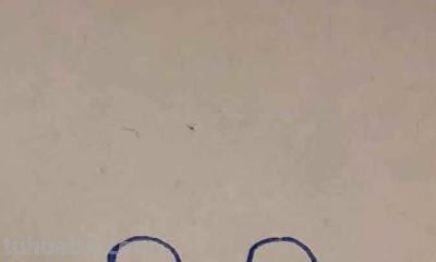 战车战车怎么画简笔画 装甲车简笔画的画法？