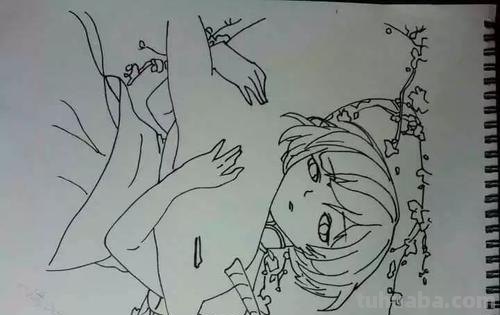 大鱼鲲速写 鲲的样子描写？