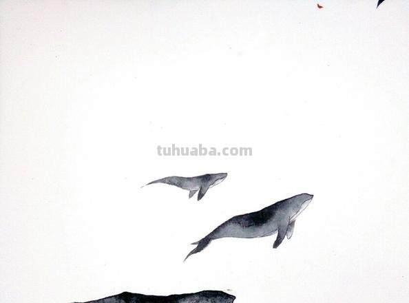 大鱼鲲速写 鲲的样子描写？