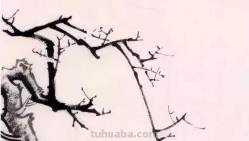 梅花拿彩铅怎么画 雪梅彩铅画？