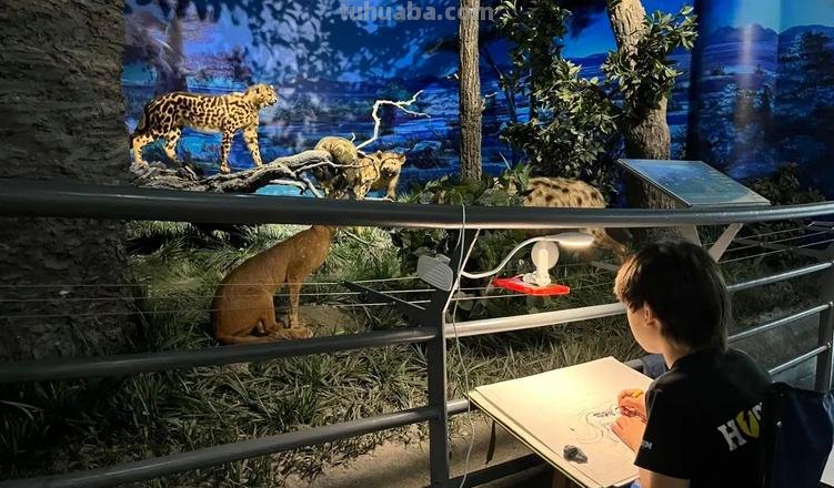 笔尖下的博物馆-2023年自然博物馆“写生”（第一期）