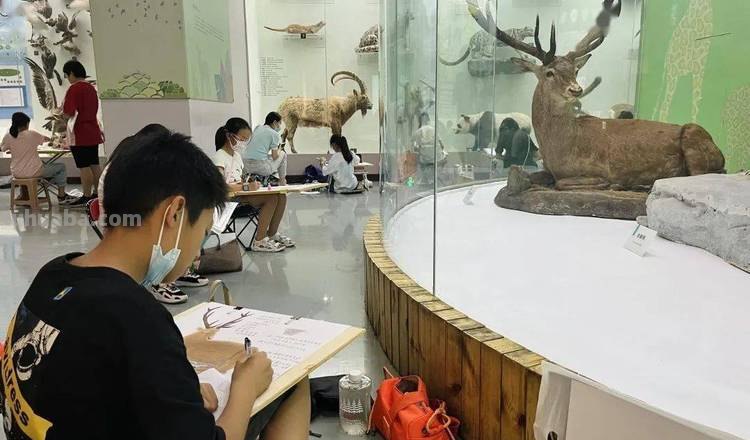 笔尖下的博物馆-2023年自然博物馆“写生”（第一期）