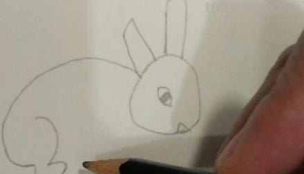 兔子眼睛怎么画简笔画 新春兔子图片简笔? 兔子眼睛怎么画简笔画 新春兔子图片简笔?