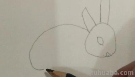 兔子眼睛怎么画简笔画 新春兔子图片简笔? 兔子眼睛怎么画简笔画 新春兔子图片简笔?