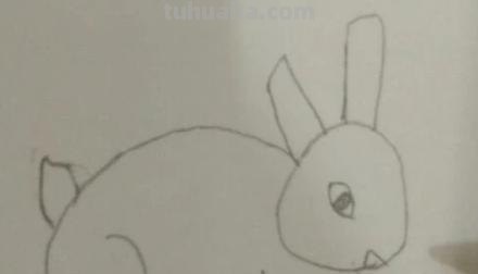 兔子眼睛怎么画简笔画 新春兔子图片简笔? 兔子眼睛怎么画简笔画 新春兔子图片简笔?