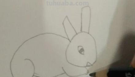 兔子眼睛怎么画简笔画 新春兔子图片简笔? 兔子眼睛怎么画简笔画 新春兔子图片简笔?