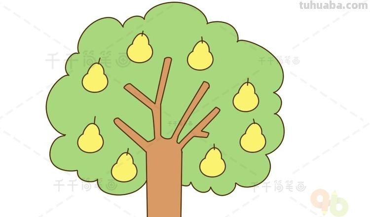 梨的简笔画怎么画 三年级梨树简单又漂亮的画?