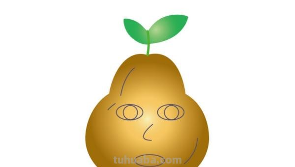 梨的简笔画怎么画 三年级梨树简单又漂亮的画? 梨的简笔画怎么画 三年级梨树简单又漂亮的画?