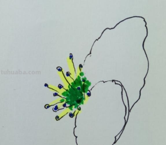 梨的简笔画怎么画 三年级梨树简单又漂亮的画? 梨的简笔画怎么画 三年级梨树简单又漂亮的画?