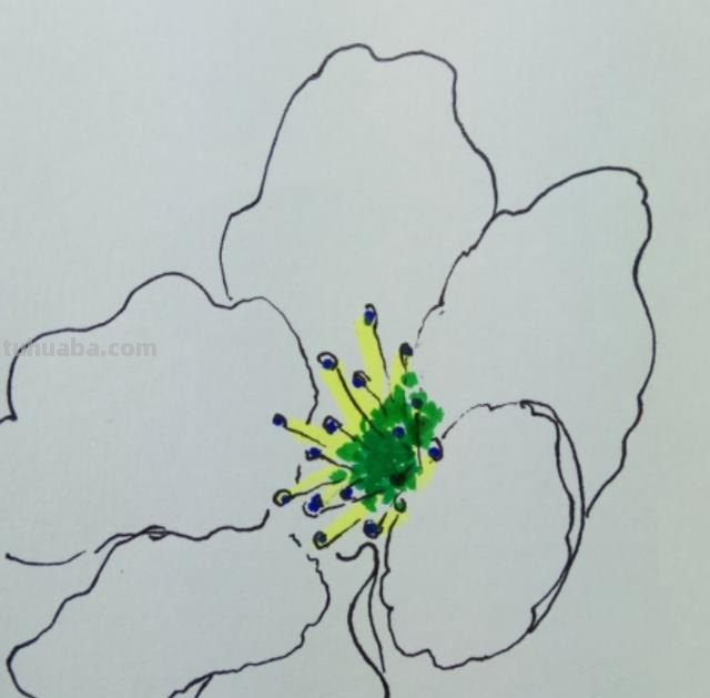 梨的简笔画怎么画 三年级梨树简单又漂亮的画? 梨的简笔画怎么画 三年级梨树简单又漂亮的画?