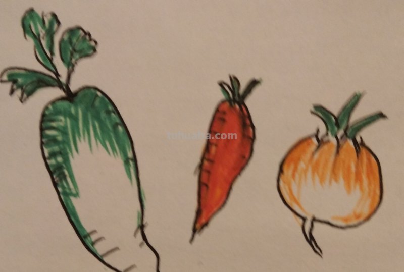 萝卜怎么画复杂彩铅 萝卜怎么画？