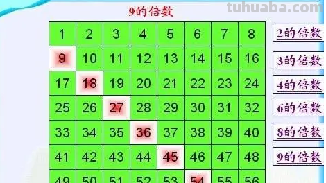 三年级上册数学内容是什么?