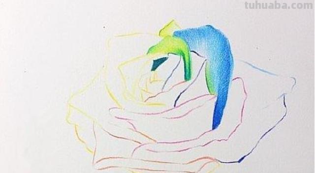 花朵怎么画 彩铅色 爬墙蔷薇花怎么用彩铅画？