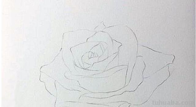 花朵怎么画 彩铅色 爬墙蔷薇花怎么用彩铅画？