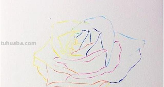 花朵怎么画 彩铅色 爬墙蔷薇花怎么用彩铅画？
