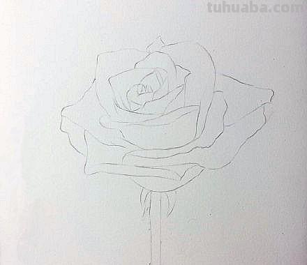 花朵怎么画 彩铅色 爬墙蔷薇花怎么用彩铅画？