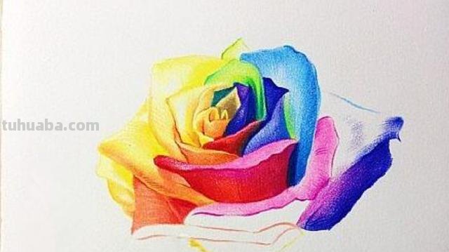 花朵怎么画 彩铅色 爬墙蔷薇花怎么用彩铅画？