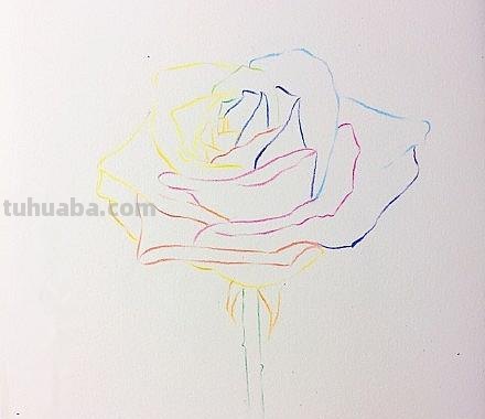 花朵怎么画 彩铅色 爬墙蔷薇花怎么用彩铅画？