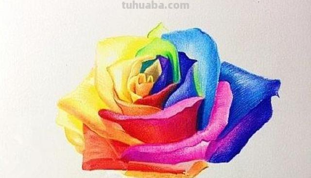 花朵怎么画 彩铅色 爬墙蔷薇花怎么用彩铅画？