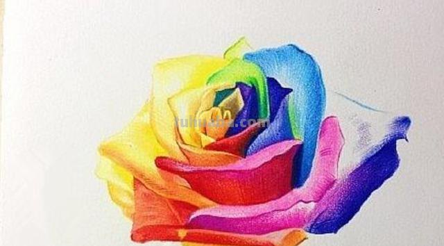 花朵怎么画 彩铅色 爬墙蔷薇花怎么用彩铅画？