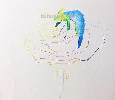 花朵怎么画 彩铅色 爬墙蔷薇花怎么用彩铅画？