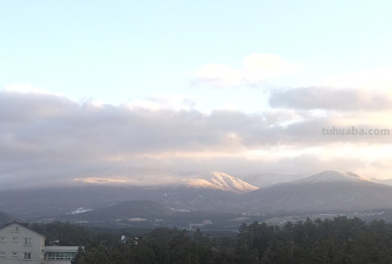 苟利于民出自哪本书