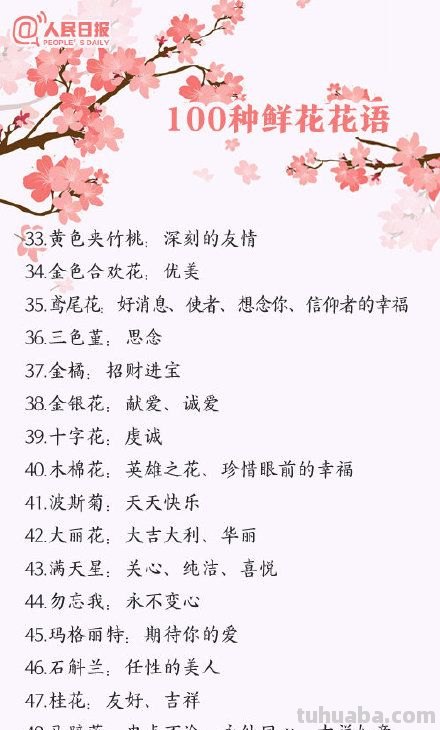 花语大全：各种鲜花的花语，不同颜色寓意也不一样啊