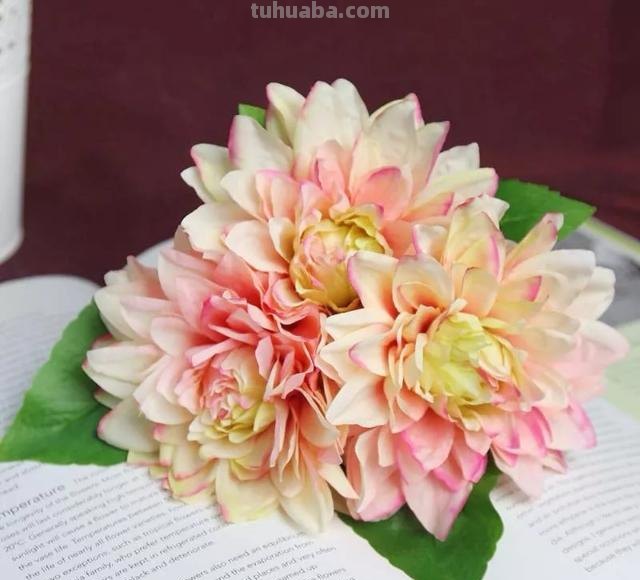 花语大全：各种鲜花的花语，不同颜色寓意也不一样啊