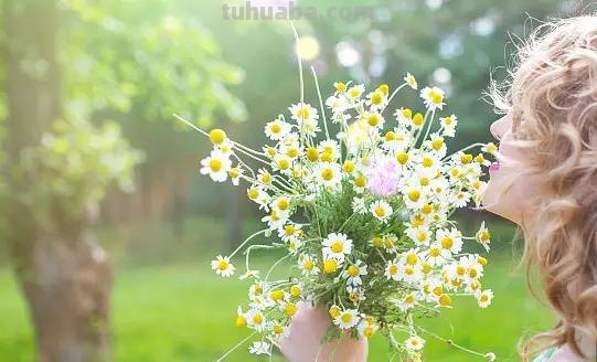 花语大全：各种鲜花的花语，不同颜色寓意也不一样啊