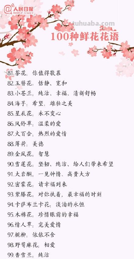 花语大全，你对花语有多少了解呢？