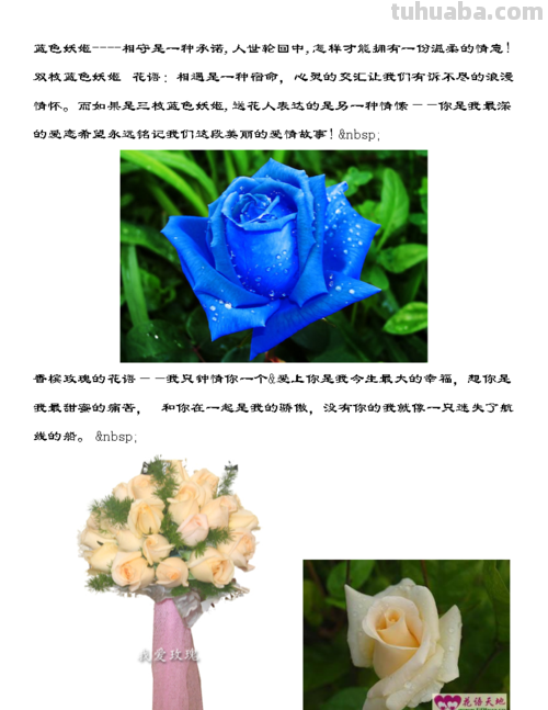 花语大全，你对花语有多少了解呢？