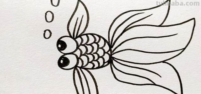 小鱼的简笔画怎么画 儿童简笔画：可爱小金鱼的画法？