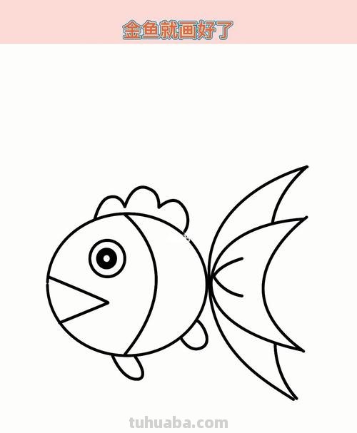 小鱼的简笔画怎么画 儿童简笔画：可爱小金鱼的画法？