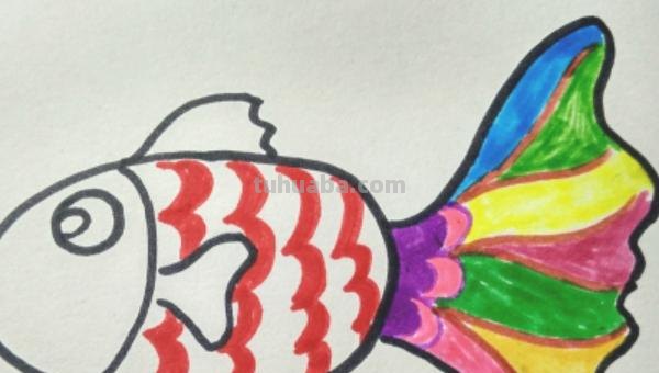 小鱼的简笔画怎么画 儿童简笔画：可爱小金鱼的画法？