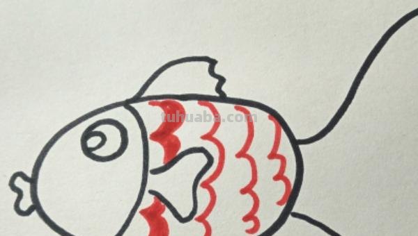 小鱼的简笔画怎么画 儿童简笔画：可爱小金鱼的画法？