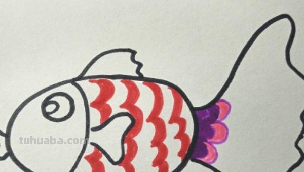 小鱼的简笔画怎么画 儿童简笔画：可爱小金鱼的画法？