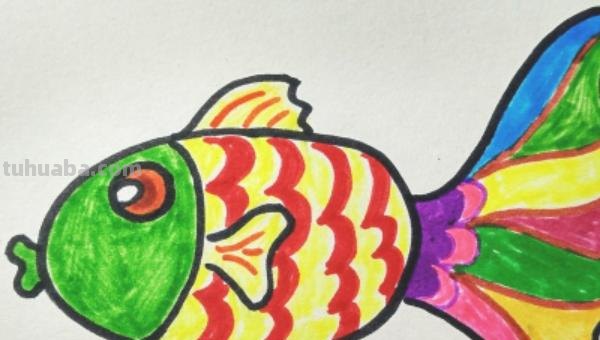 小鱼的简笔画怎么画 儿童简笔画：可爱小金鱼的画法？