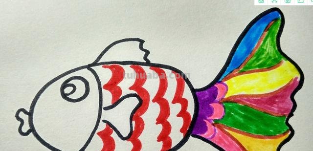 小鱼的简笔画怎么画 儿童简笔画：可爱小金鱼的画法？