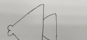 小鱼的简笔画怎么画 儿童简笔画：可爱小金鱼的画法？