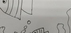 小鱼的简笔画怎么画 儿童简笔画：可爱小金鱼的画法？