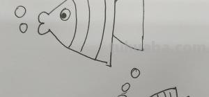 小鱼的简笔画怎么画 儿童简笔画：可爱小金鱼的画法？