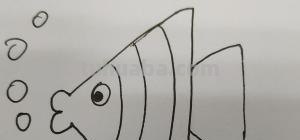 小鱼的简笔画怎么画 儿童简笔画：可爱小金鱼的画法？