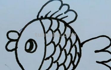 小鱼的简笔画怎么画 儿童简笔画：可爱小金鱼的画法？