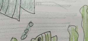 小鱼的简笔画怎么画 儿童简笔画：可爱小金鱼的画法？