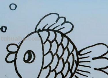 小鱼的简笔画怎么画 儿童简笔画：可爱小金鱼的画法？