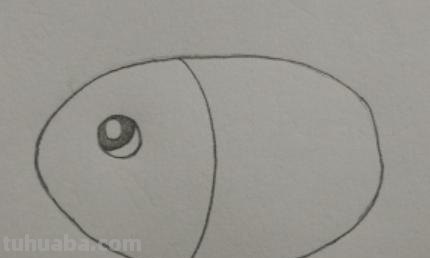 小鱼的简笔画怎么画 儿童简笔画：可爱小金鱼的画法？