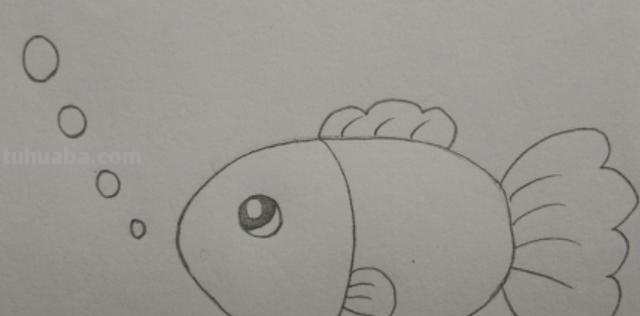 小鱼的简笔画怎么画 儿童简笔画：可爱小金鱼的画法？