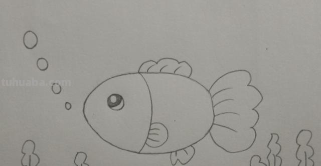 小鱼的简笔画怎么画 儿童简笔画：可爱小金鱼的画法？