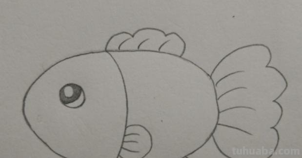 小鱼的简笔画怎么画 儿童简笔画：可爱小金鱼的画法？