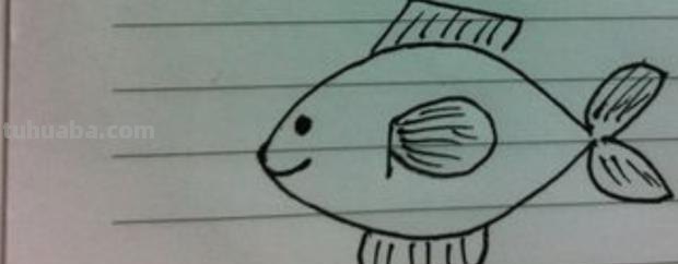 小鱼的简笔画怎么画 儿童简笔画：可爱小金鱼的画法？